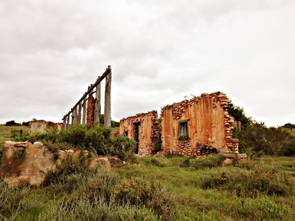 Hlosi Game Lodge - Amakhala Game Reserve Buyskloof Zewnętrze zdjęcie