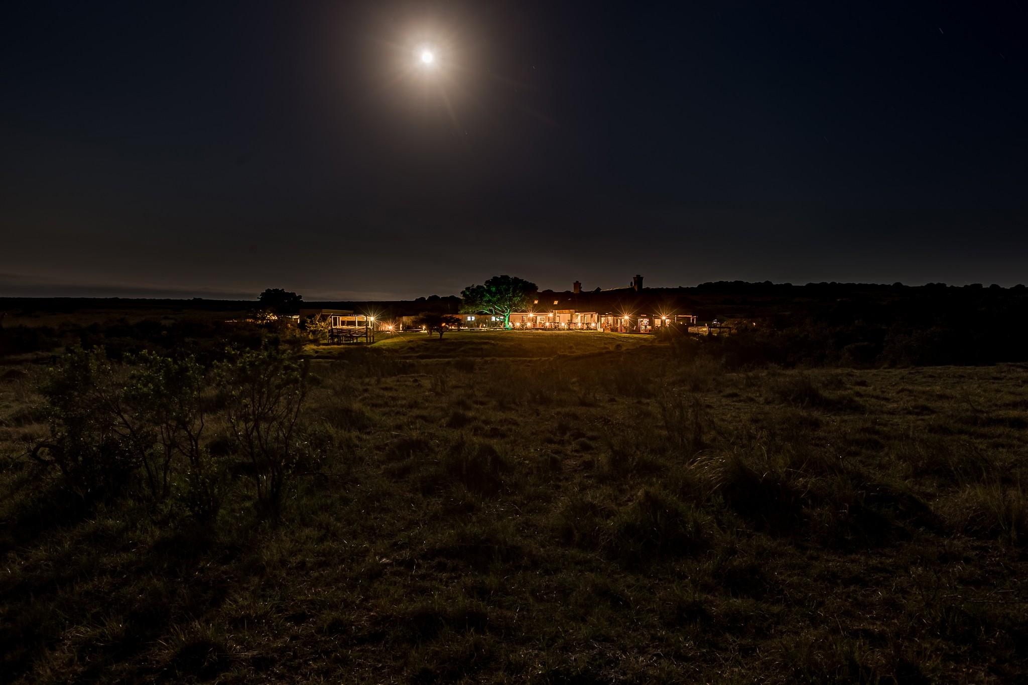 Hlosi Game Lodge - Amakhala Game Reserve Buyskloof Zewnętrze zdjęcie