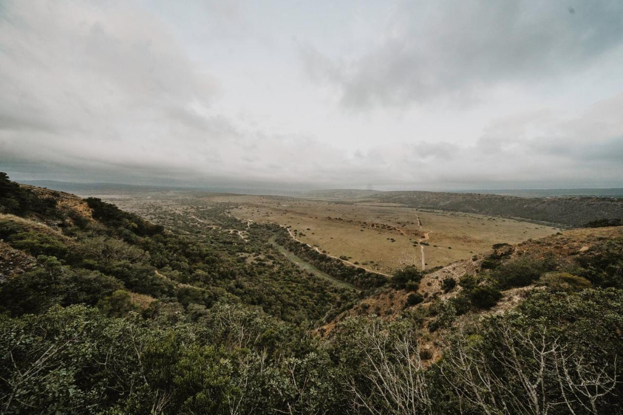 Hlosi Game Lodge - Amakhala Game Reserve Buyskloof Zewnętrze zdjęcie