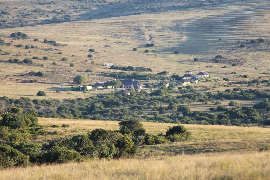 Hlosi Game Lodge - Amakhala Game Reserve Buyskloof Zewnętrze zdjęcie